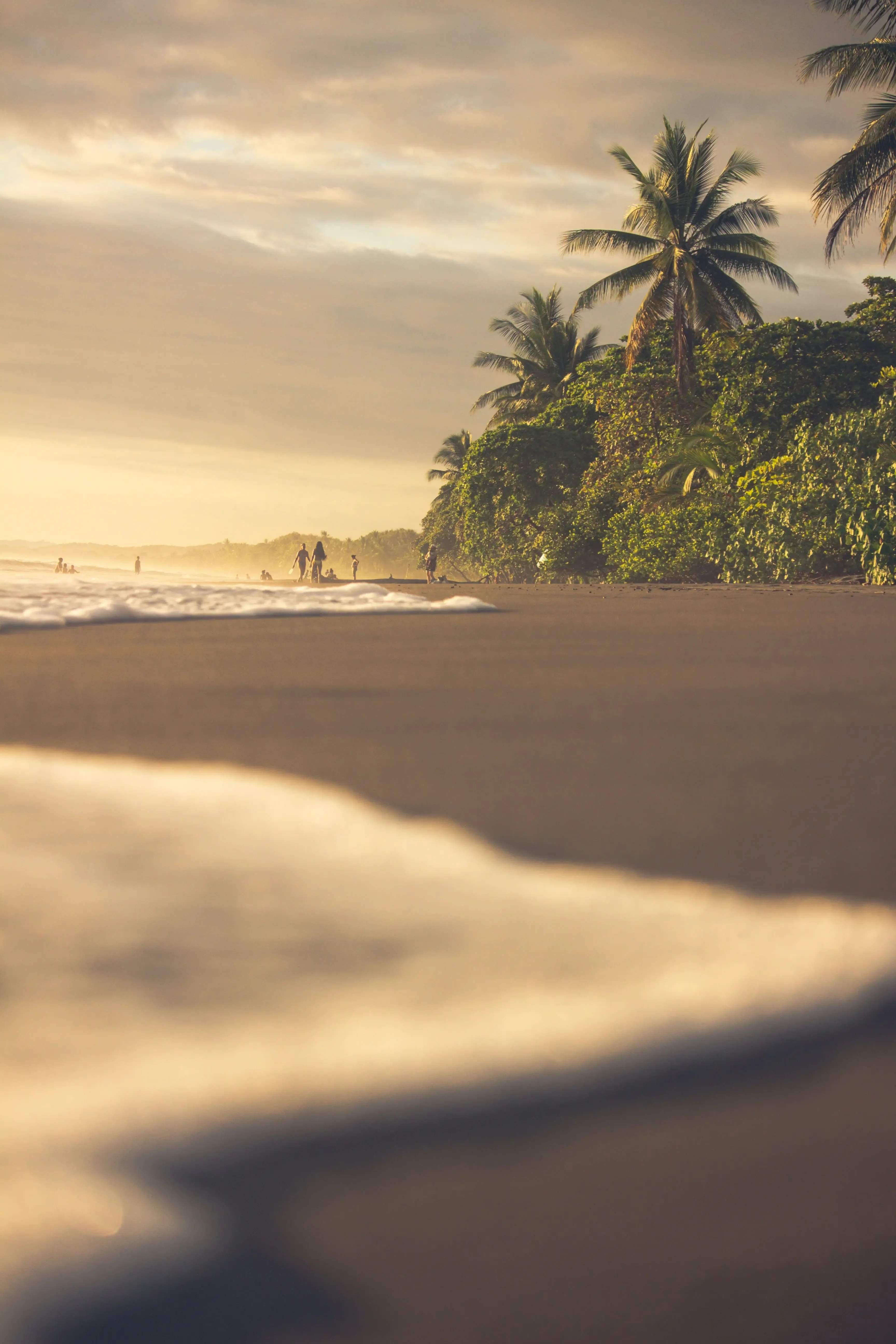 Costa Rica Residency Program