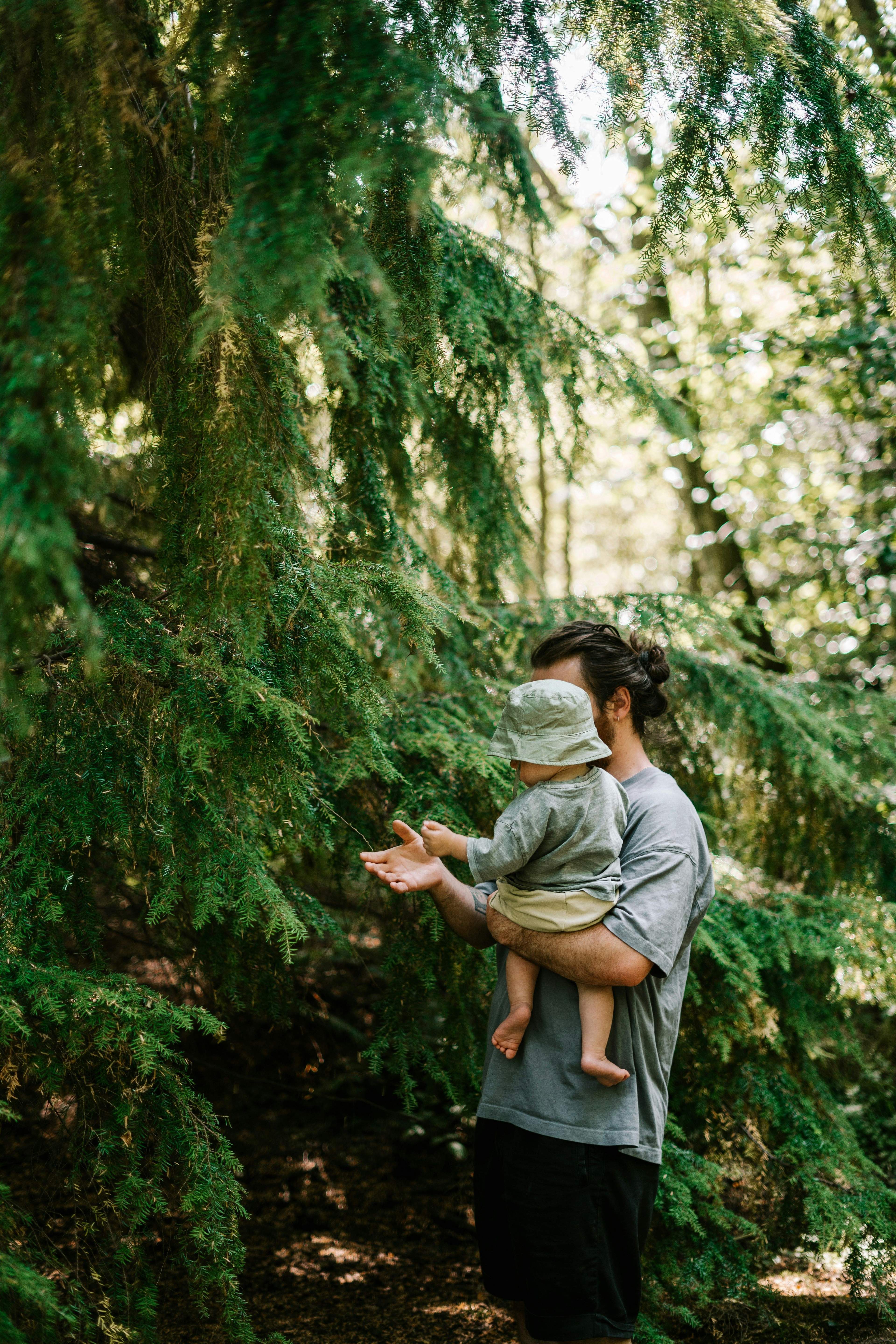 Man holding baby explores lush green forest, reaching towards tree branches.