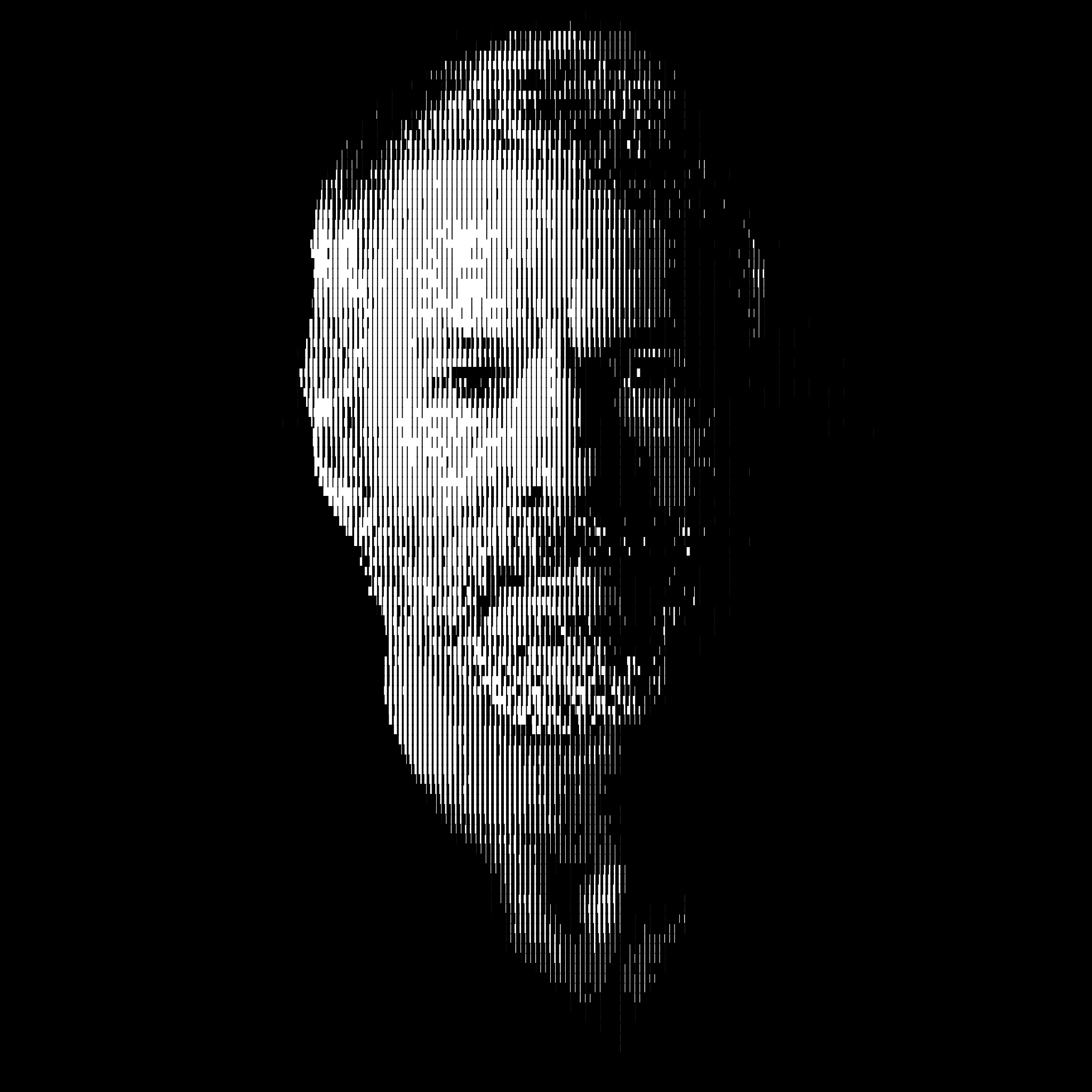 Michael Saylor · Bitcoin Investor