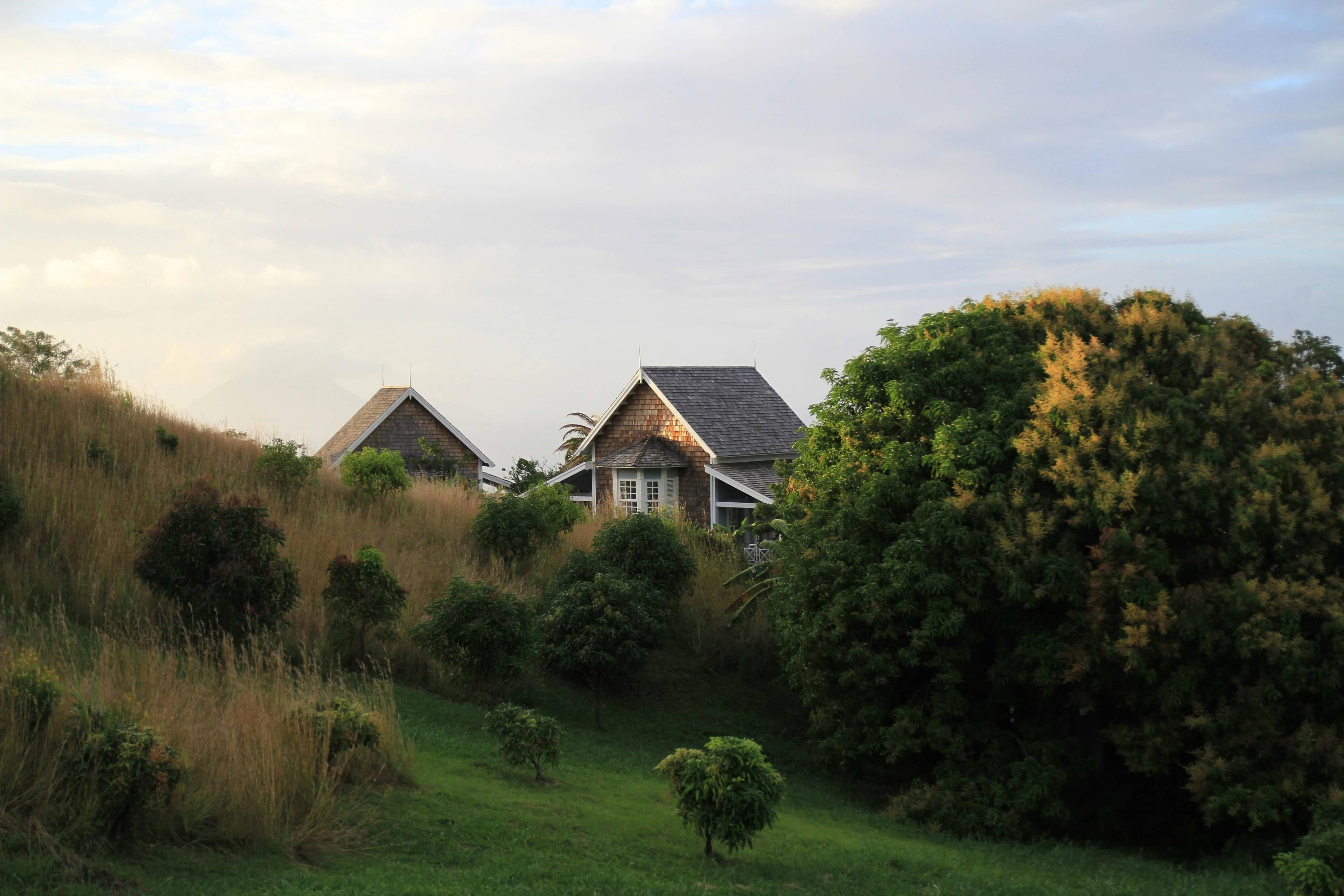Nevis Trust: A Complete Guide for 2026