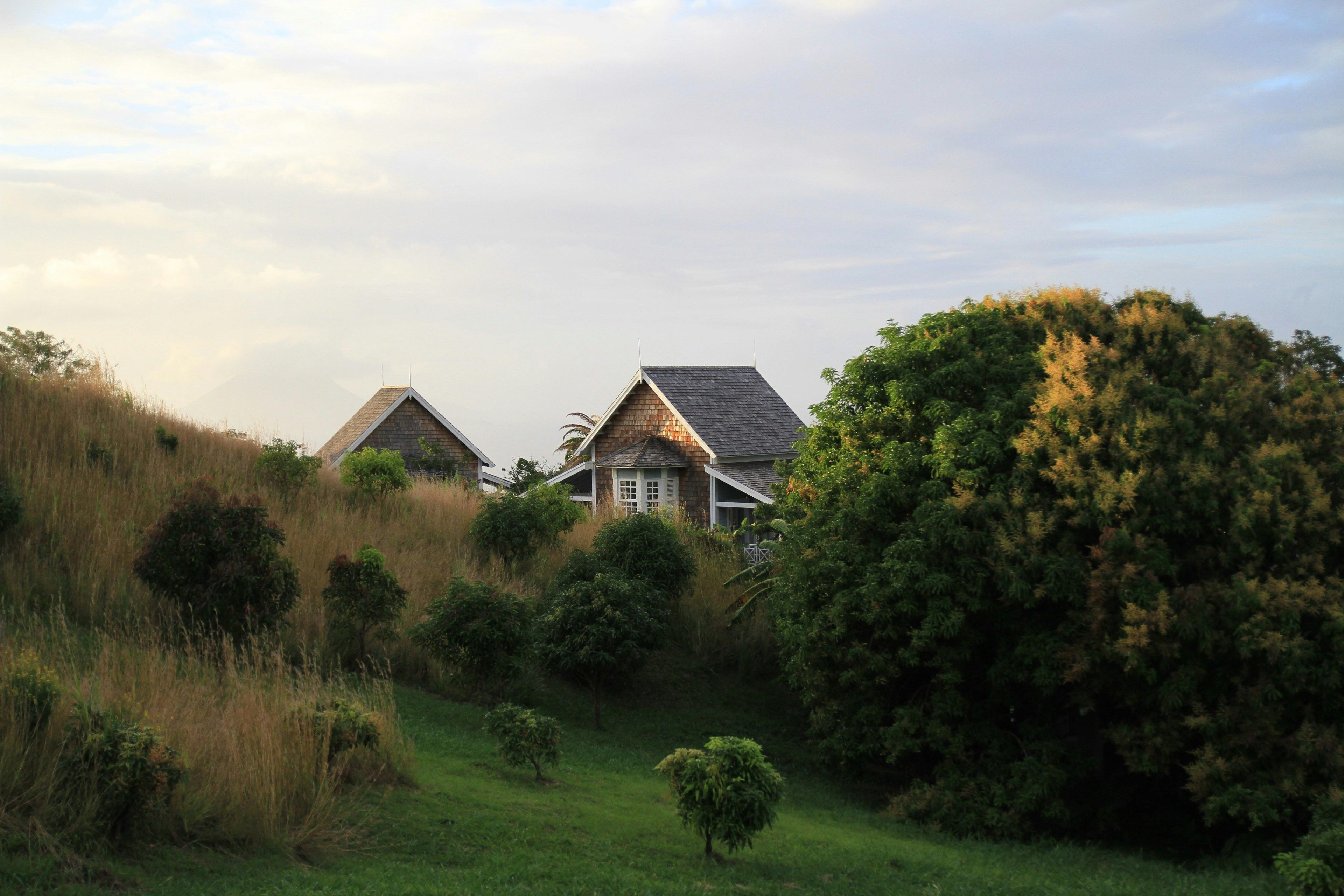 Two houses on a green and golden hill, large tree, and cloudy sky.