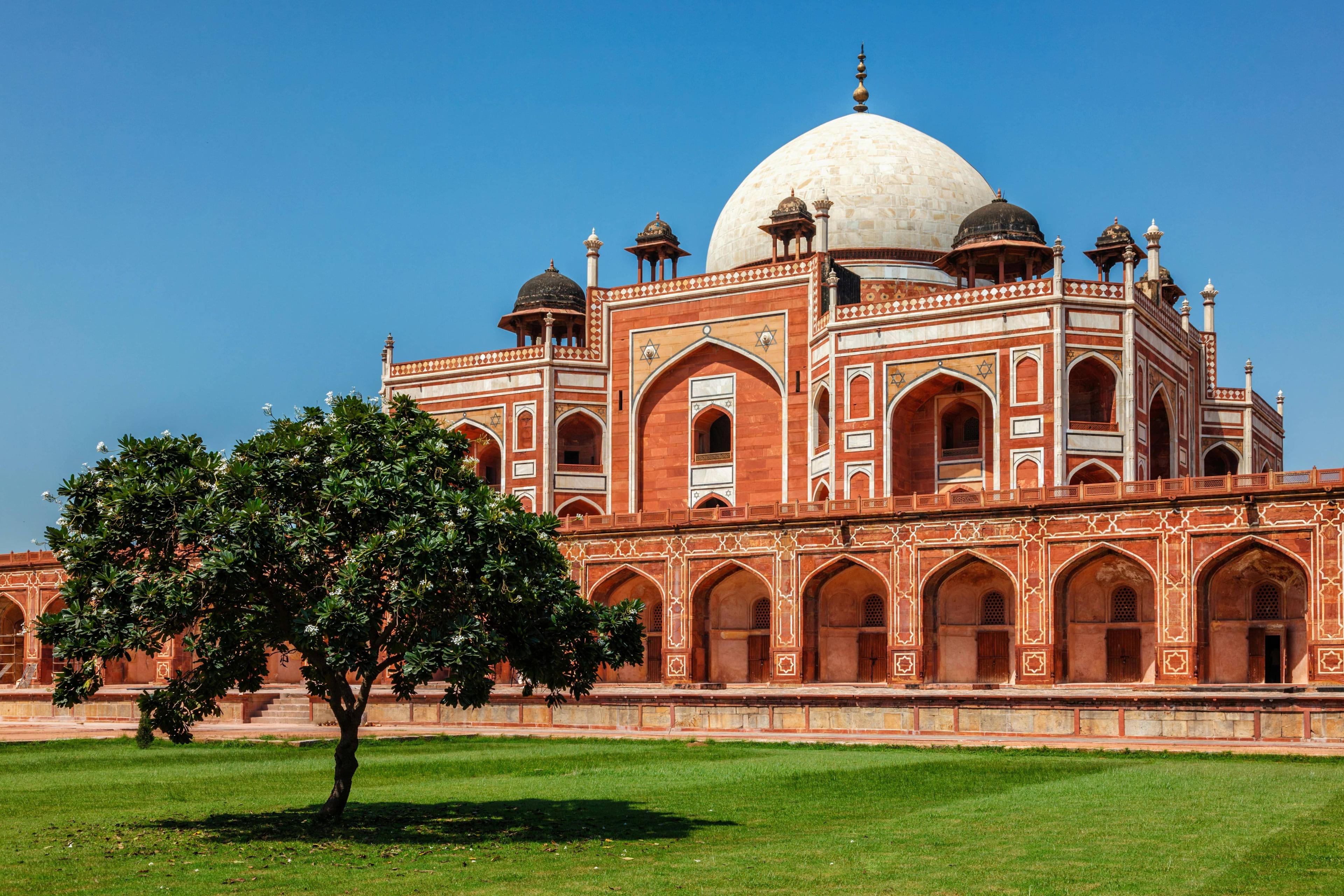 Red sandstone Mughal tomb with a large white dome, green grass, and a prominent tree.