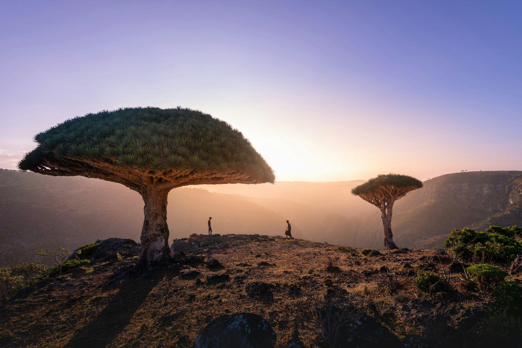 The Reality Yemen citizenship by investment