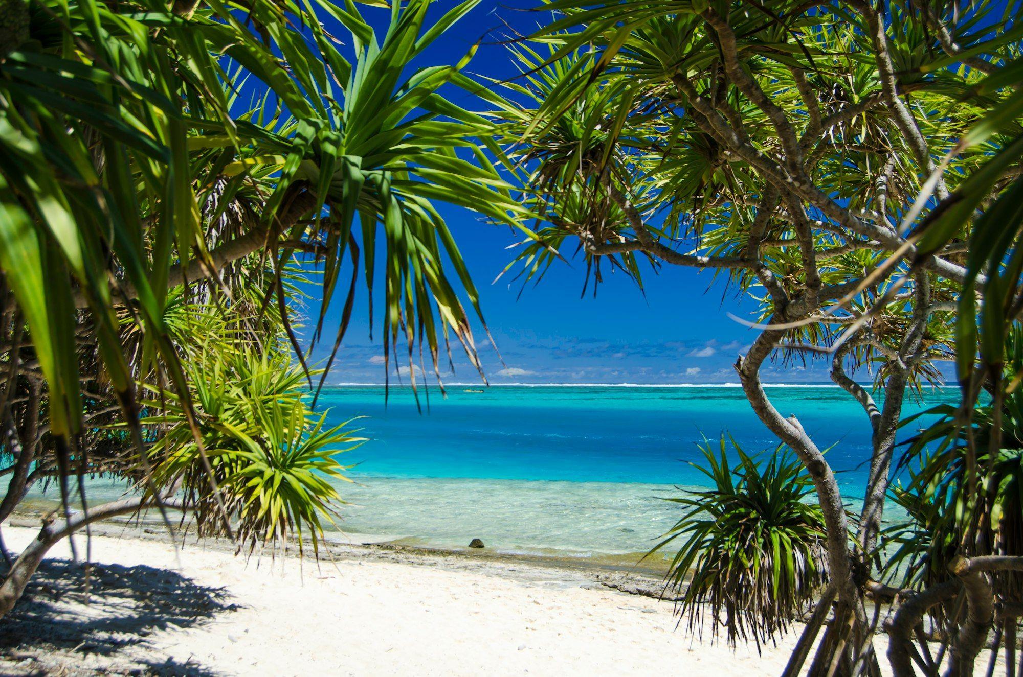 Will Your Country Find Out You Acquired a Vanuatu Passport?