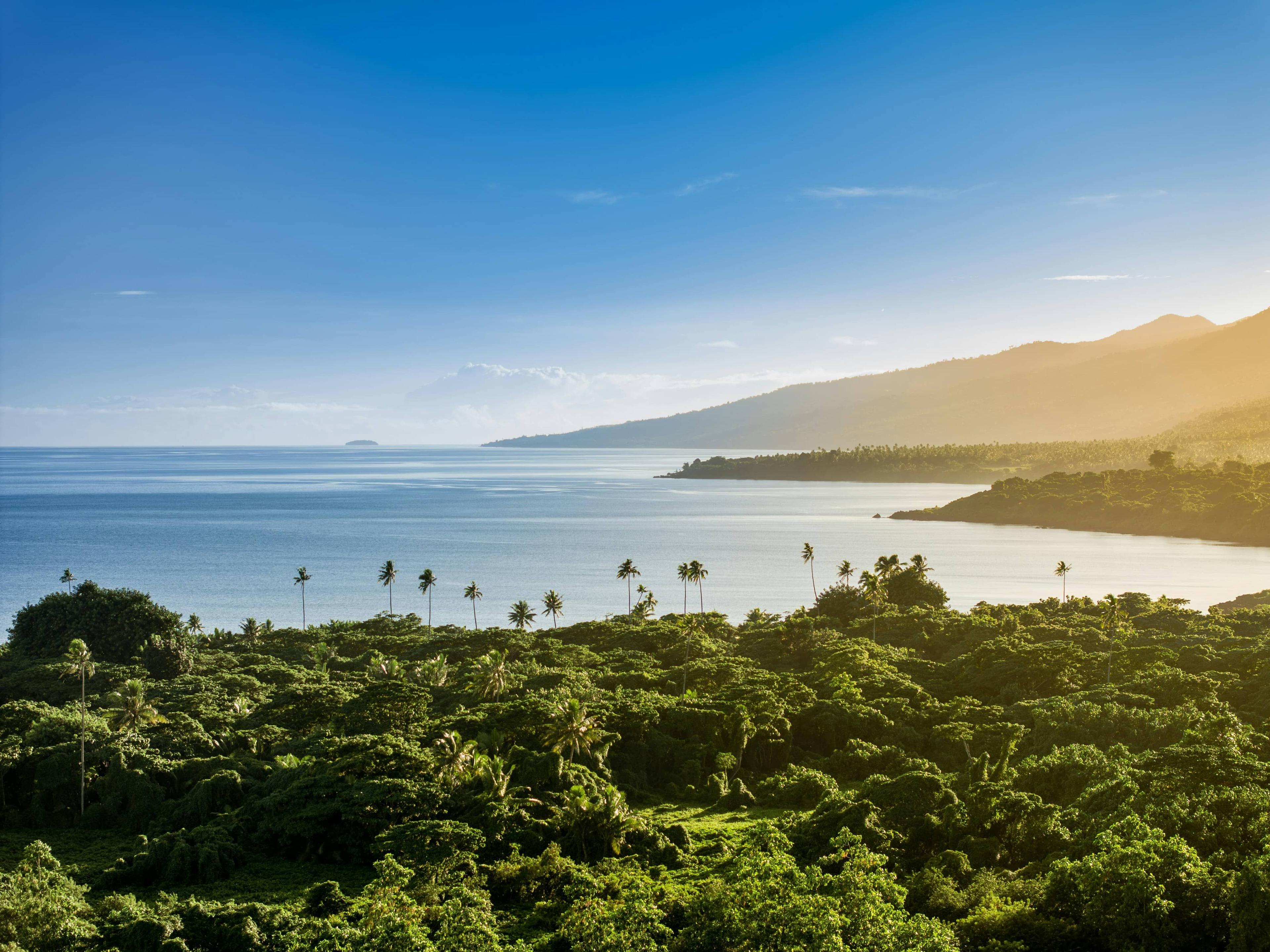 Cook Islands Trust: A Complete Guide for 2026