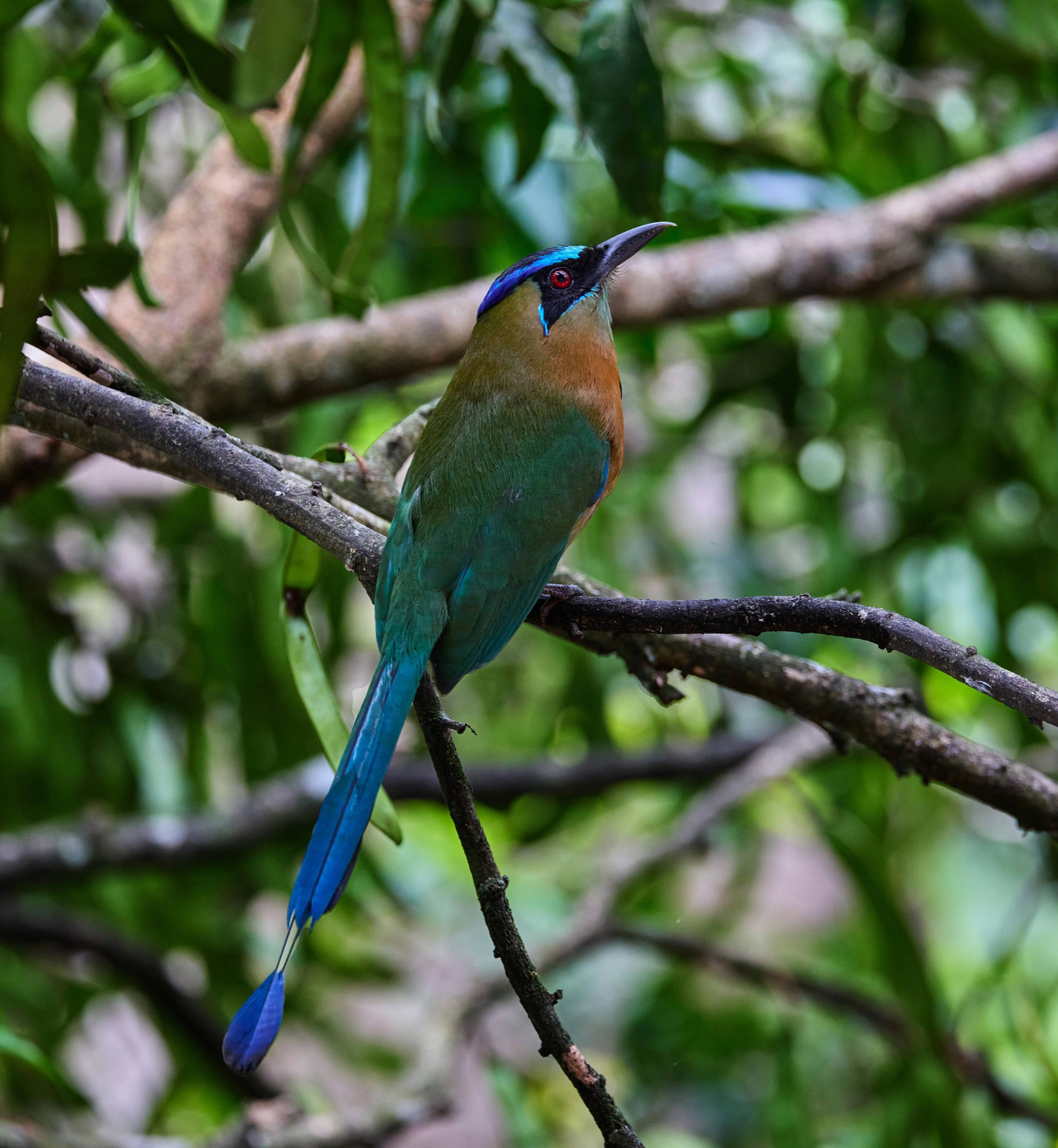 El Salvador Guide
