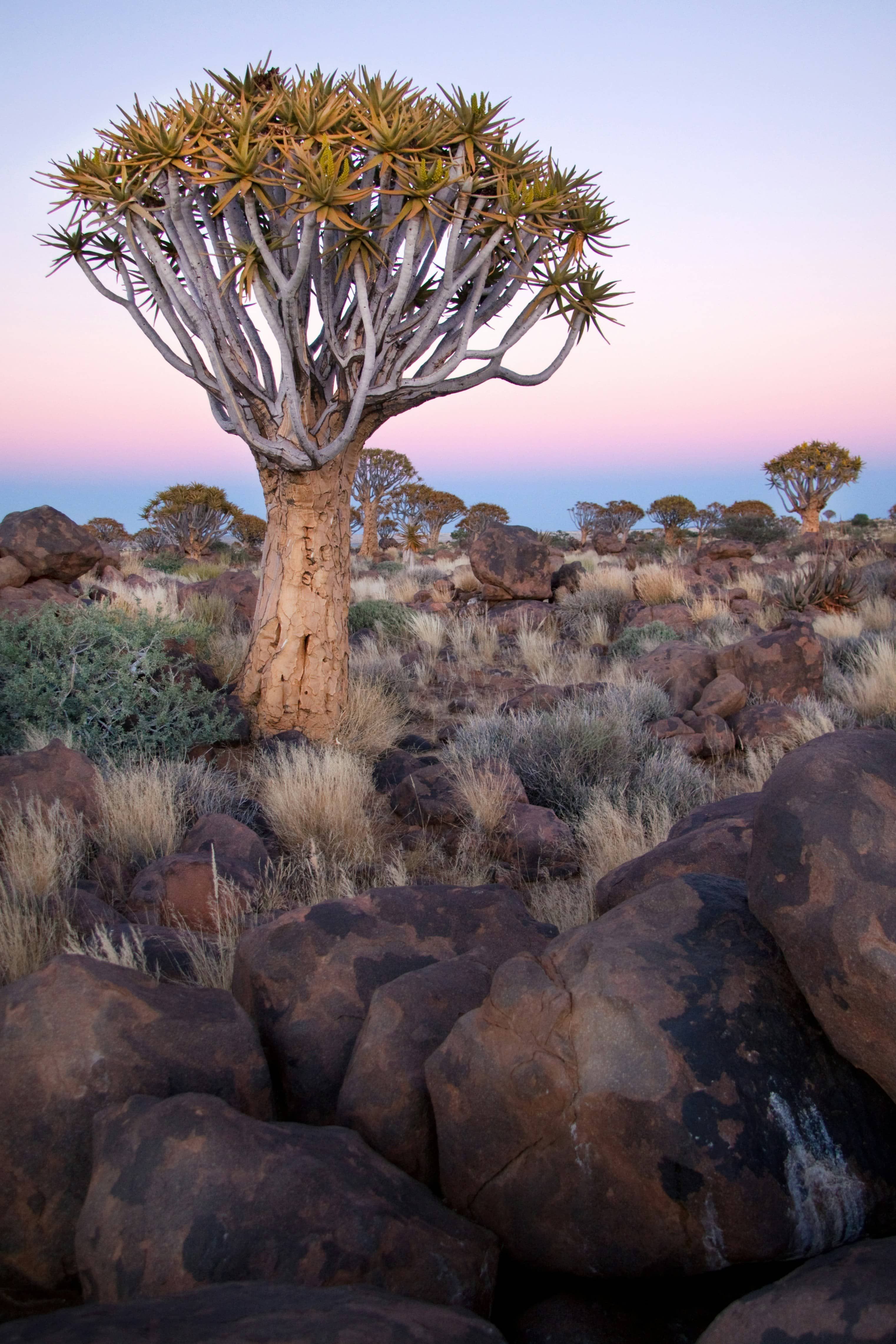 getty-images-uWRA6_31VxY-unsplash (1).jpg