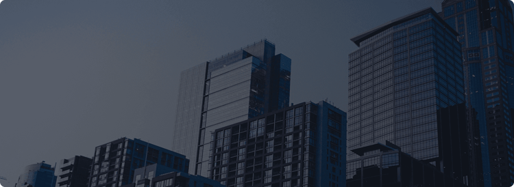 Company incorporation and donation program
