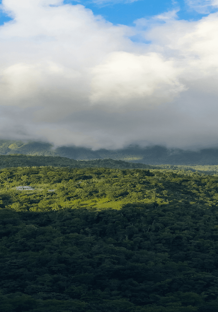 Dominica Citizenship Program