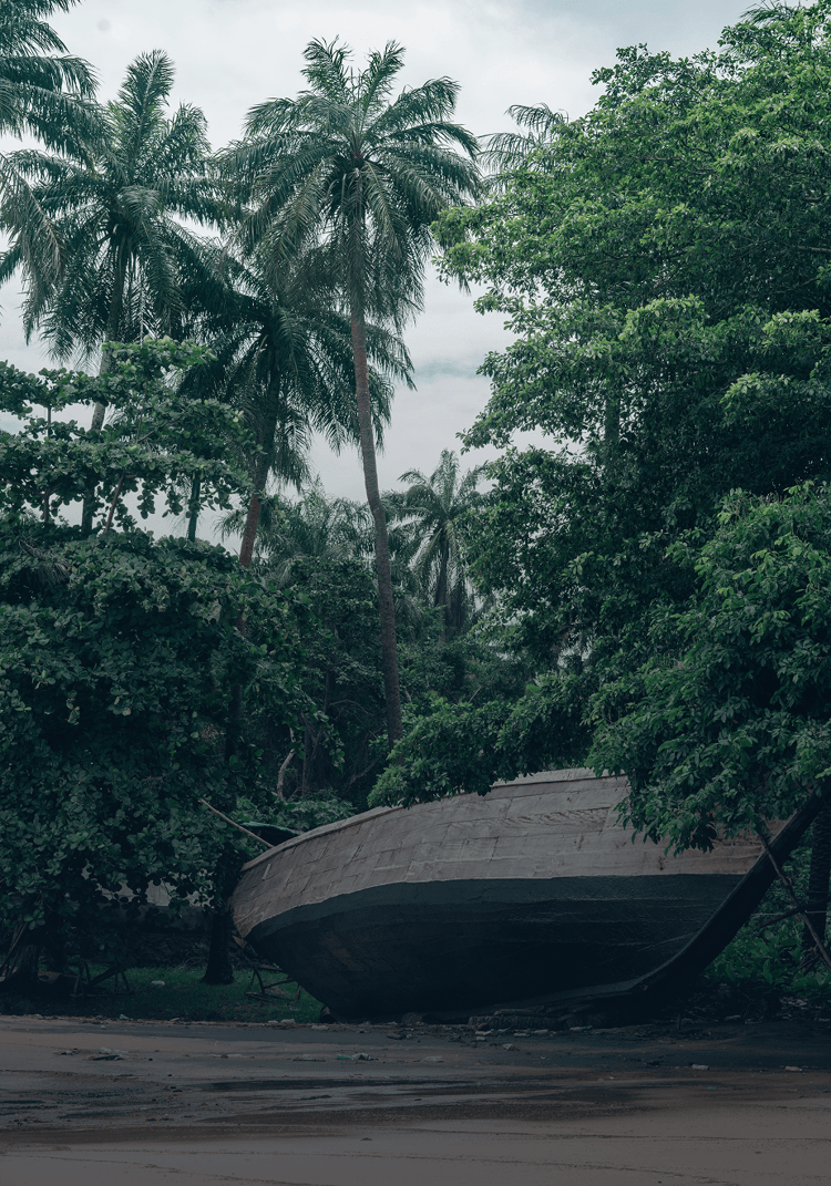 Sierra Leone Citizenship Program